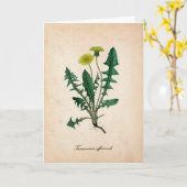 Dandelion科学イラストレーショングリーティングカード カード (黄色い花)
