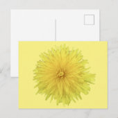 Dandelion誇りを持った花 – 透明。 ポストカード (正面/裏面)