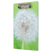 Dandelion – ちょうど目覚めた美しい クリップボード (左)