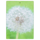 Dandelion – ちょうど目覚めた美しい クリップボード (裏面)