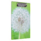 Dandelion – ちょうど目覚めた美しい クリップボード (右)