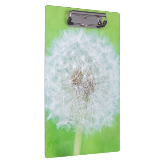 Dandelion – ちょうど目覚めた美しい クリップボード (右)