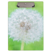 Dandelion – ちょうど目覚めた美しい クリップボード (正面)