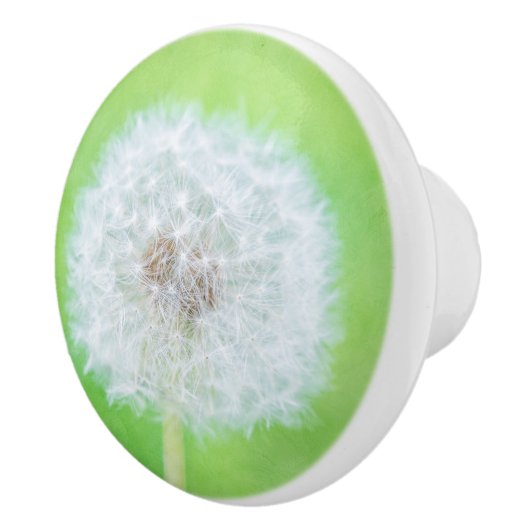 Dandelion – ちょうど目覚めた美しい セラミックノブ (右)