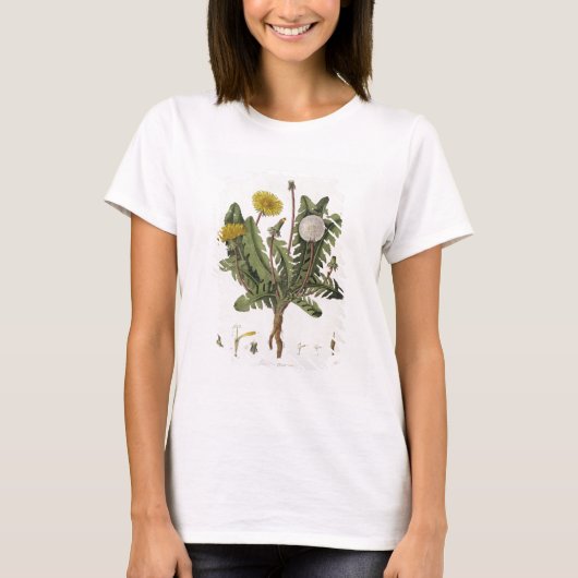 Dandelion (カラー版木、銅版、版画) tシャツ (正面)