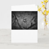 Dandelion – ノワール,カード カード (黄色い花)