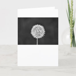 Dandelion – ノワール,カード カード