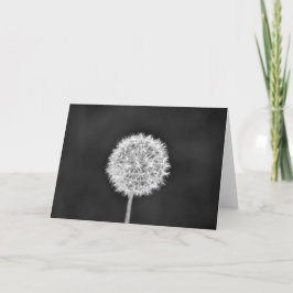 Dandelion – ノワール,カード カード
