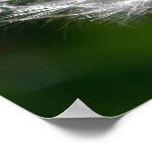 Dandelion – ポスタ輝くー ポスター (角)