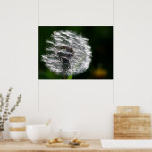 Dandelion – ポスタ輝くー ポスター (キッチン)