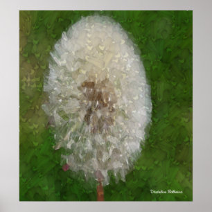 Dandelion Ballerina by Celeste Sheffey Poster ポスター