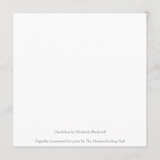 Dandelion by Elizabeth Blackwell (裏面)