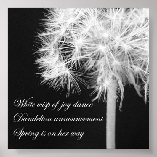 Dandelion Haiku Poster ポスター (正面)