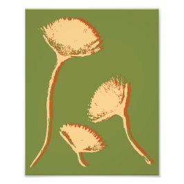 Dandelion Pop フォトプリント