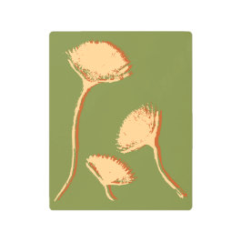 Dandelion Pop メタルプリント