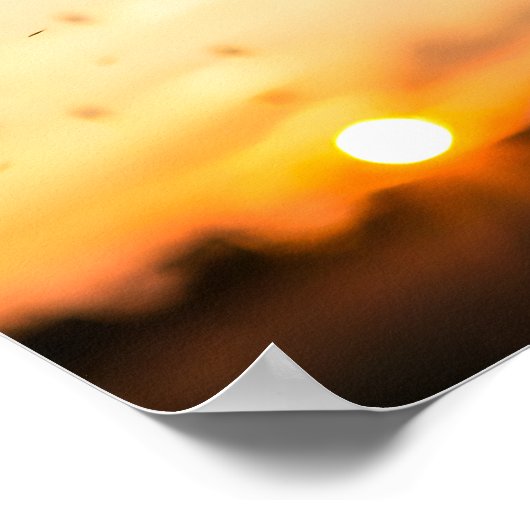 Dandelion seed head blowing ポスター (角)