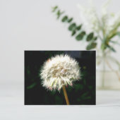 Dandelion Seed Head Macro Photography ポストカード (スタンド正面)