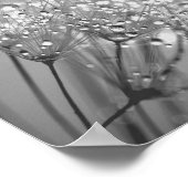 Dandelion Seed With Waterdrop Wall Art 2 ポスター (角)