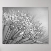 Dandelion Seed With Waterdrop Wall Art 2 ポスター (正面)