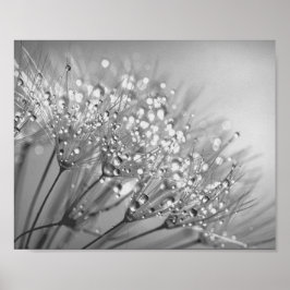 Dandelion Seed With Waterdrop Wall Art 2 ポスター