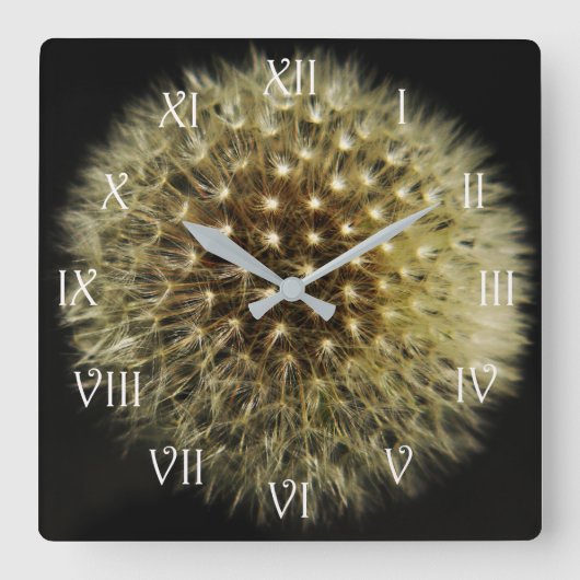Dandelion Seedheadホワイトスクリプトローマンwccn スクエア壁時計 (正面)