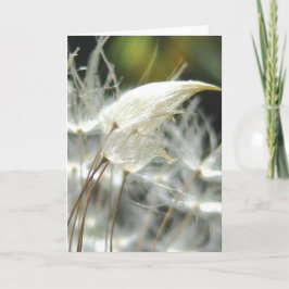 Dandelion Seeds Embrace, Stories in Nature Poetry カード