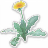 Dandelion Sticker シール (正面)