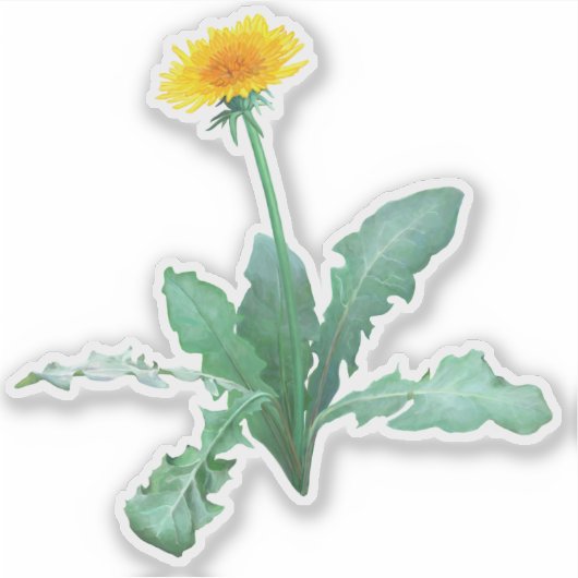 Dandelion Sticker シール (正面)