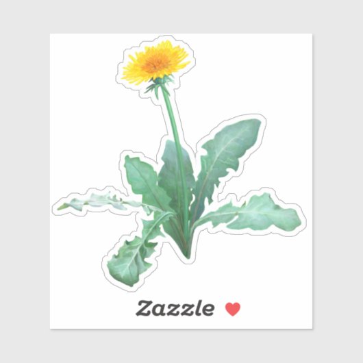 Dandelion Sticker シール (シート)