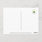 Dandelion With Dew Peaceful, Elegant, Nature  ポストカード (裏面)