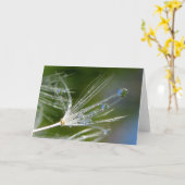 Dandelion With Dew Poetry of Nature カード (黄色い花)