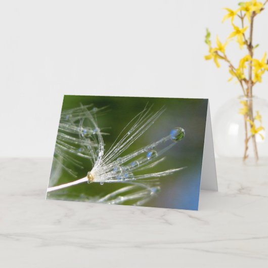 Dandelion With Dew Poetry of Nature カード (黄色い花)