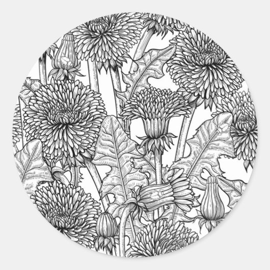 Dandelions, black and white ラウンドシール (正面)