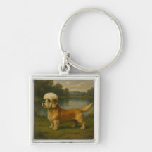 Dandi Dinmont Terrier