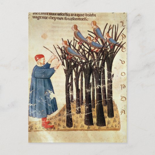 Danteおよび鳥に変形する精神 ポストカード (正面)