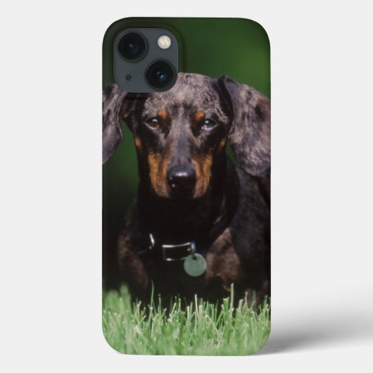dappleの眺めはダックスフントを着色しました Case-Mate iPhoneケース (裏面)