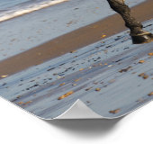 Dapple Grey Andalucian Stallion On Beach ポスター (角)