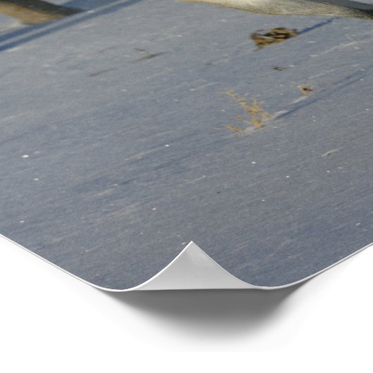 Dapple Grey Trakehner Running in the Snow ポスター (角)