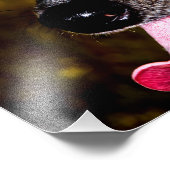 Dapple/Piebald Dachshund フォトプリント (角)