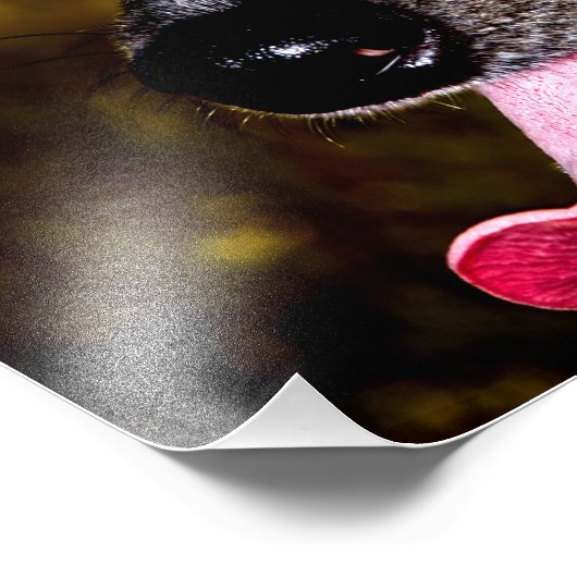 Dapple/Piebald Dachshund フォトプリント (角)