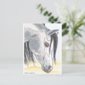 DappledAarabian Mareはがき ポストカード (スタンド正面)