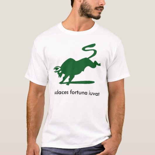 Darden MBAエグゼクティブ2010チーム5 Tシャツ (正面)