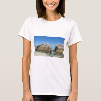 d'argent anseの源 tシャツ