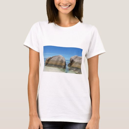 d'argent anseの源 tシャツ (正面)