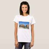 d'argent anseの源 tシャツ (正面フル)