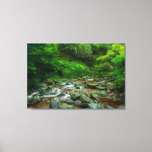 Dargle River Canvas Wall Art | Ireland Lush Forest キャンバスプリント (正面)