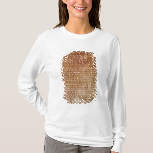 Darius I 550-500のプラク紀元前に Tシャツ (正面)