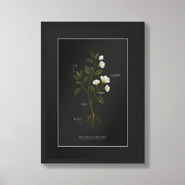 Dark Academia Botanical Anatomy Poster ポスター