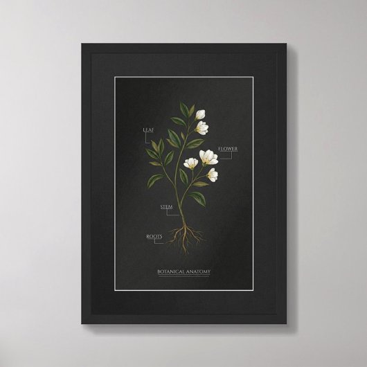 Dark Academia Botanical Anatomy Poster ポスター