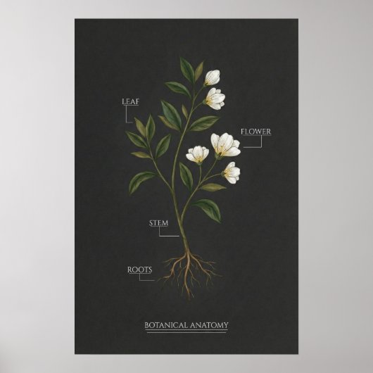 Dark Academia Botanical Anatomy Poster ポスター (正面)